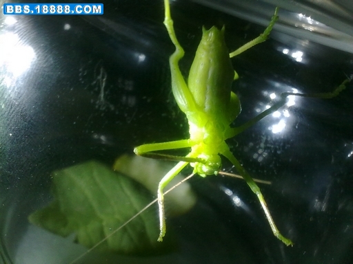 20110904263.jpg