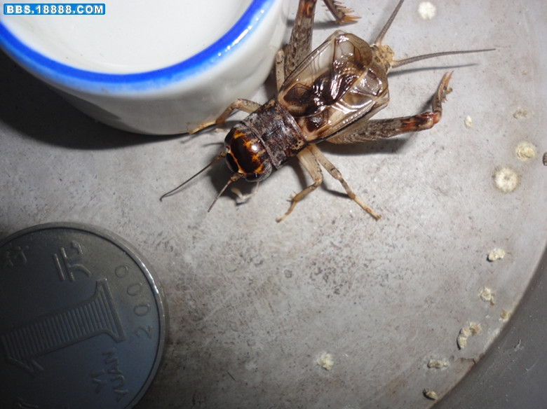 DSC00579_副本.jpg