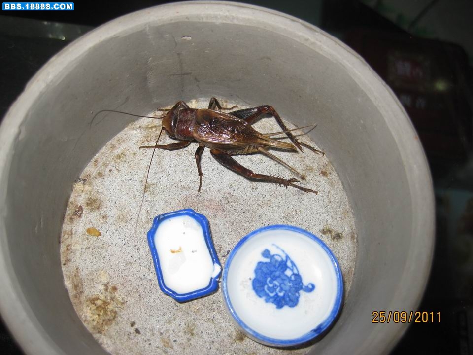 照片 005.jpg