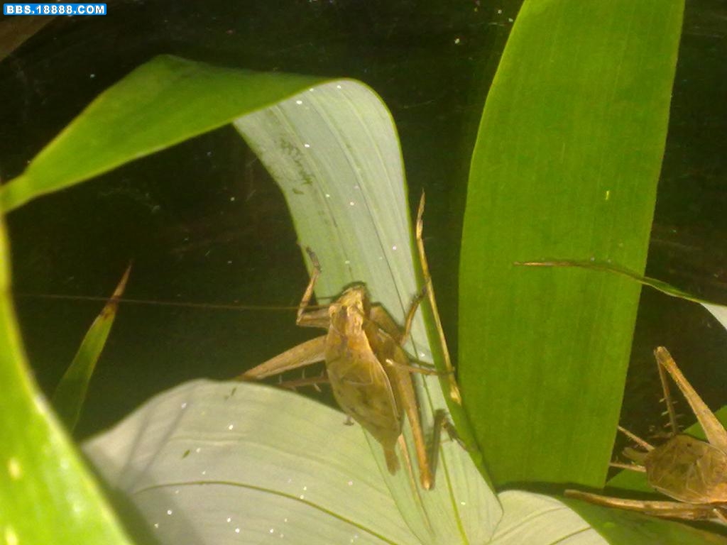 20110917930.jpg
