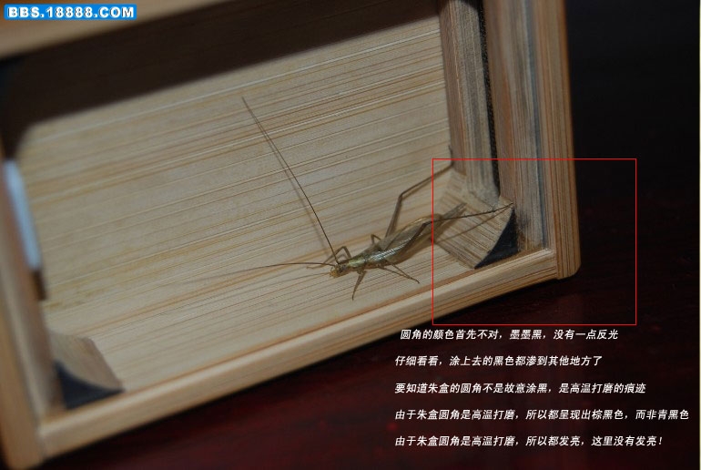 伪造1.jpg