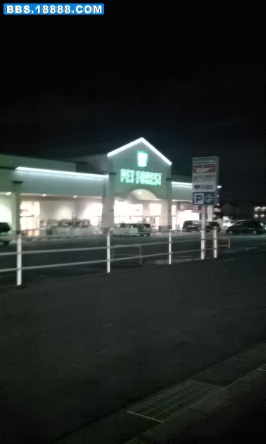 IMAG0141.jpg