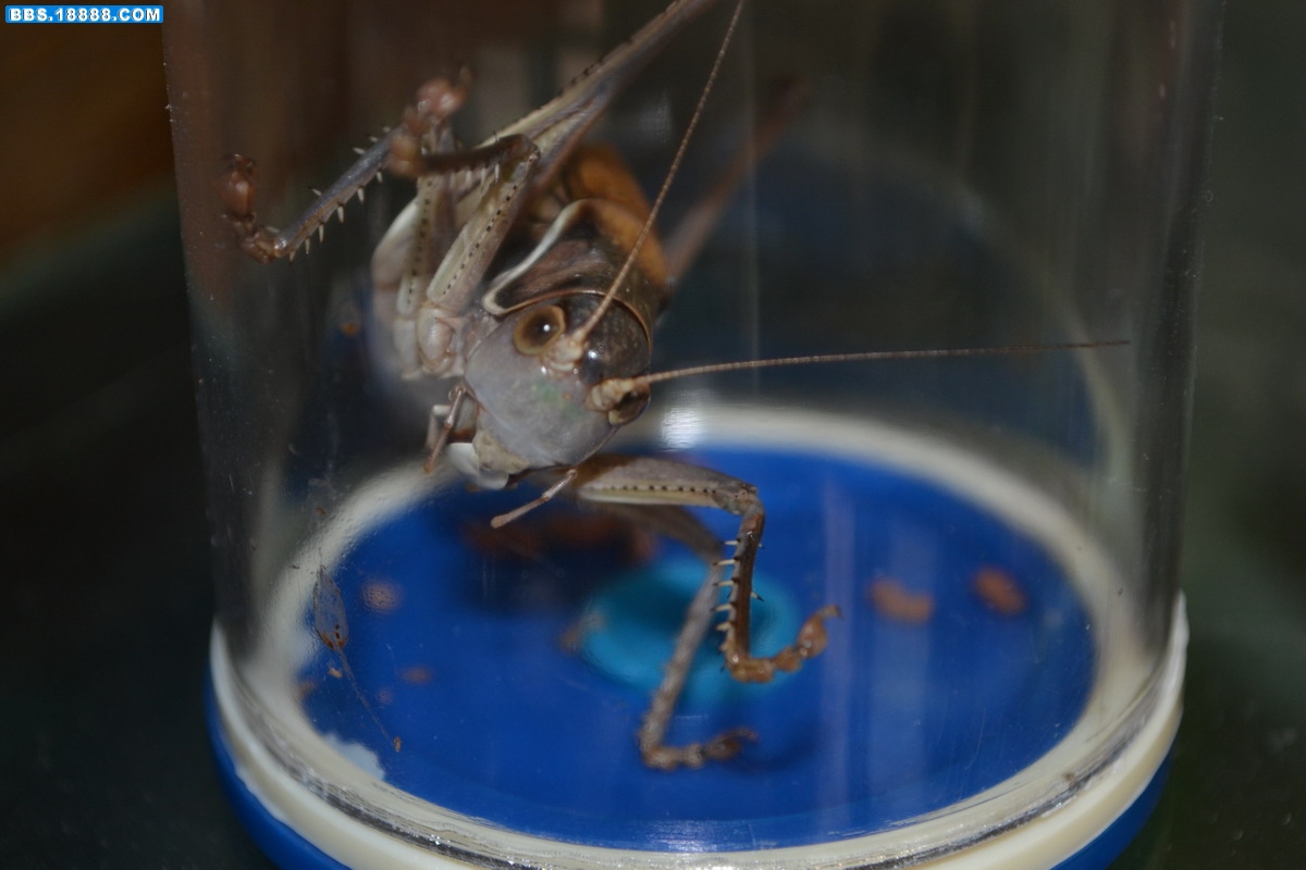 DSC_0003.jpg