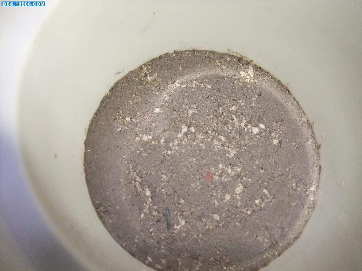 DSCF1029.JPG