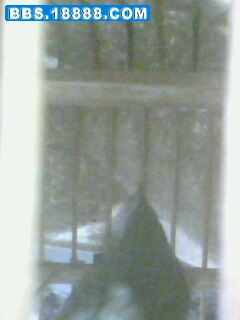IMG0456A.JPG