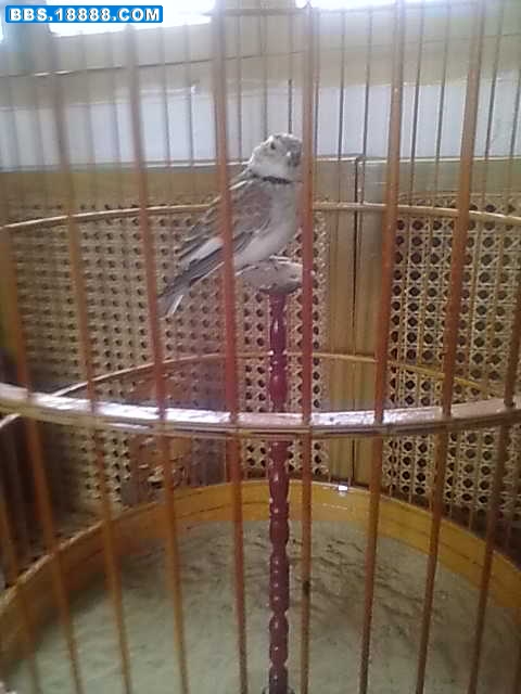 20110912007.jpg