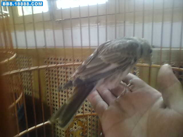 20110912012.jpg