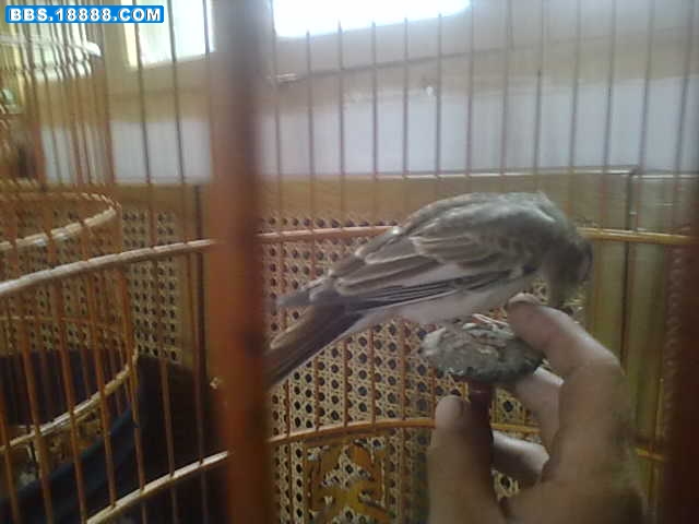 20110912013.jpg