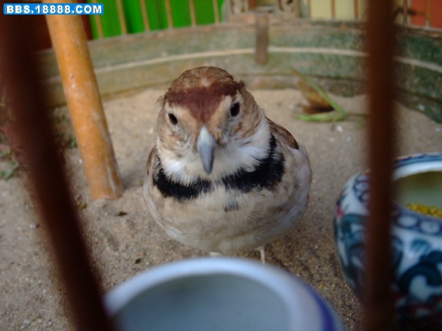 DSCF4165.jpg