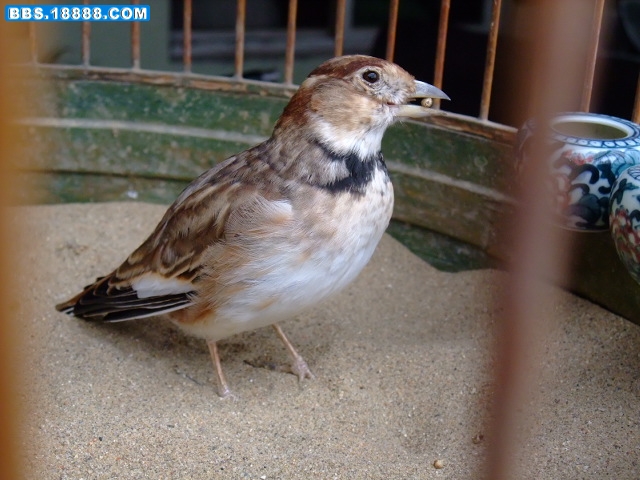 DSCF4096.jpg