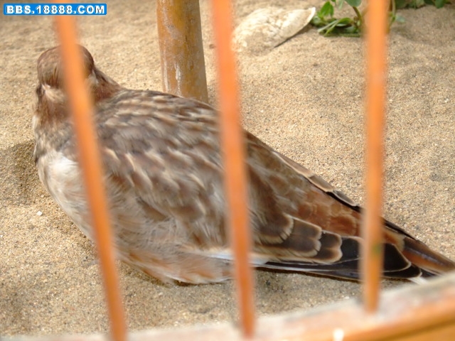 DSCF4104.jpg