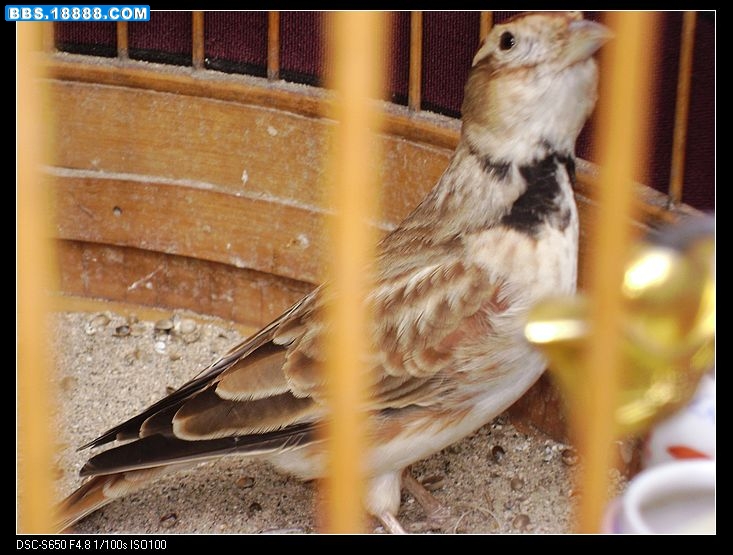 nEO_IMG_DSC00675.jpg