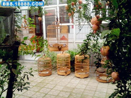 照片1635_旋转_旋转_副本.jpg