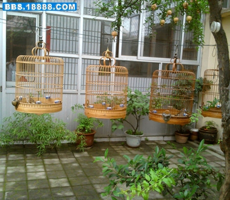 照片1530_旋转_副本_副本.jpg