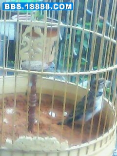 IMG0124A.jpg
