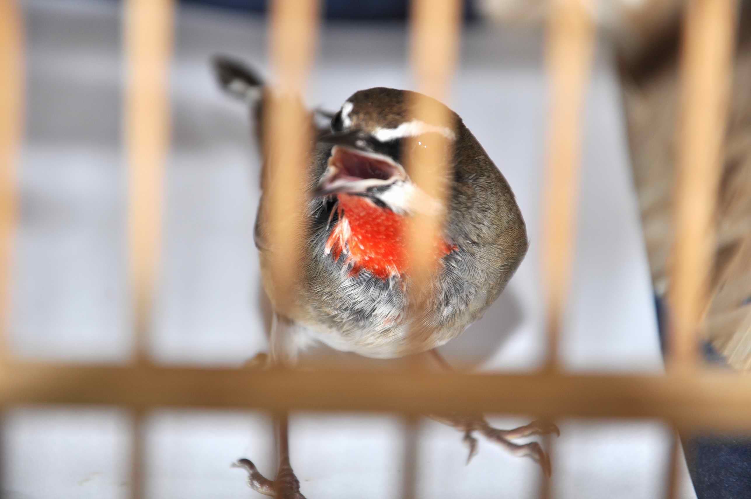 调整大小 DSC_0082.JPG