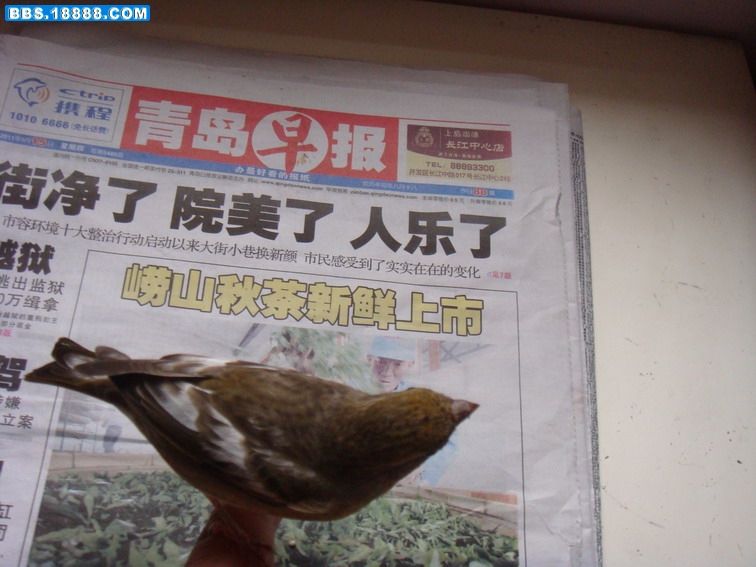 DSC03863.JPG