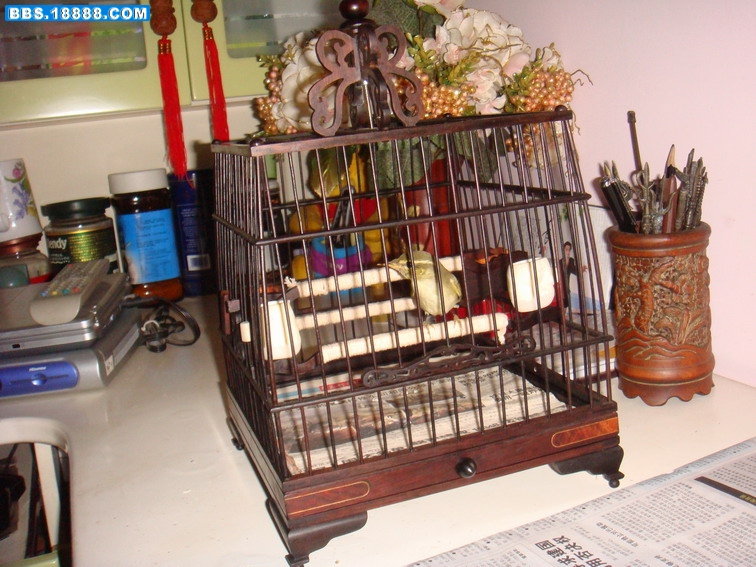 DSC03796.JPG