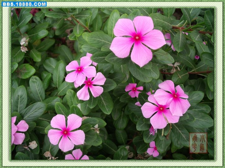 DSCF7263.jpg