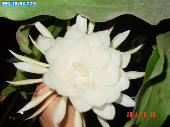 nEO_IMG_DSC03235.jpg