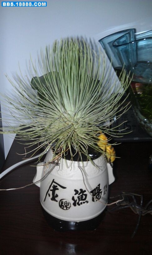 未命名13.jpg