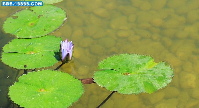 DSC_0769.JPG