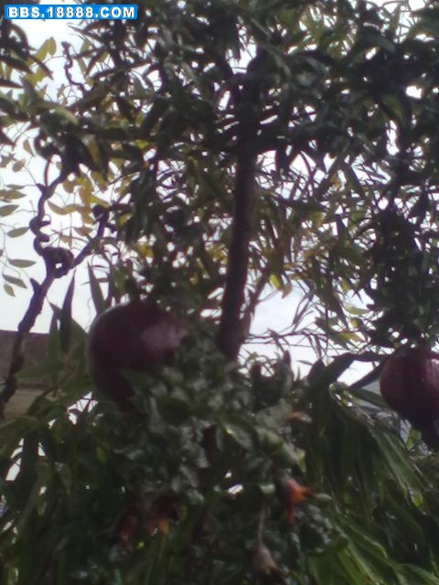 20111016099.jpg