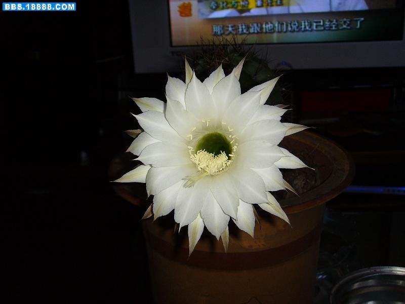 照片 087.jpg