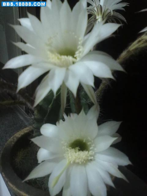 20100606131.jpg