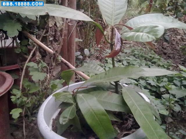 20111009206.jpg