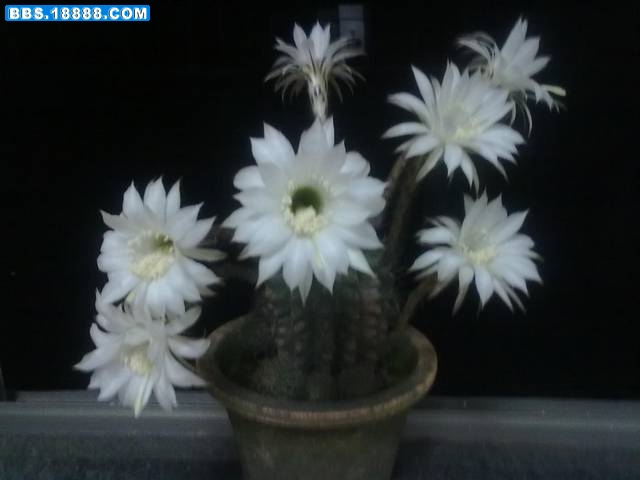 20100606132.jpg