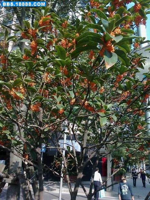 照片0303.jpg
