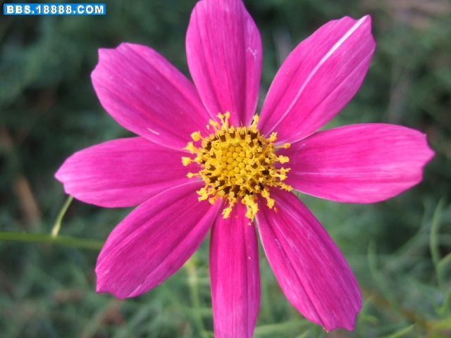 DSCF8768.JPG