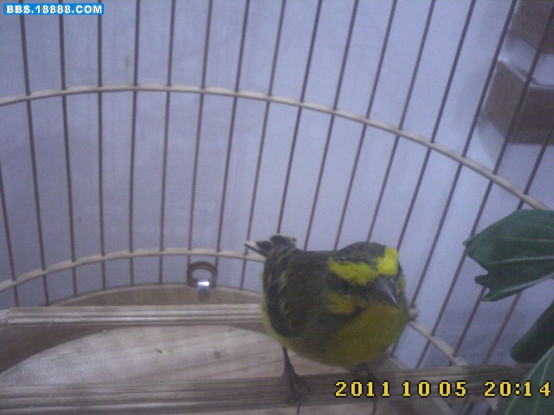 IMG0286.jpg