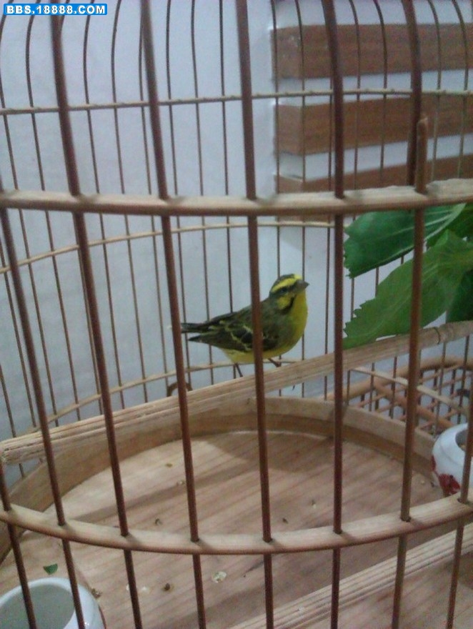 IMAG0058.jpg