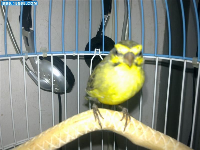 20111026964.jpg