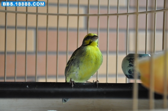 DSC_0215-4.jpg