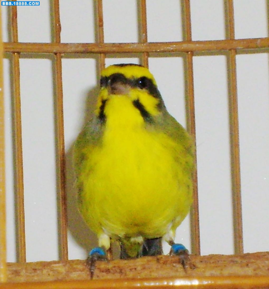 S6304988.JPG