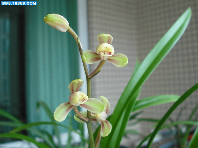 DSCF2673.JPG