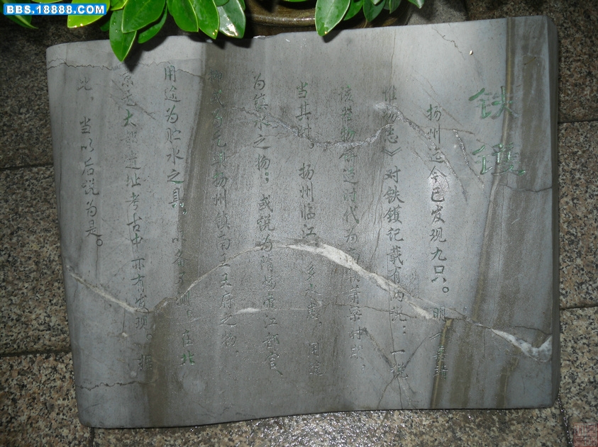 SDC14055.JPG