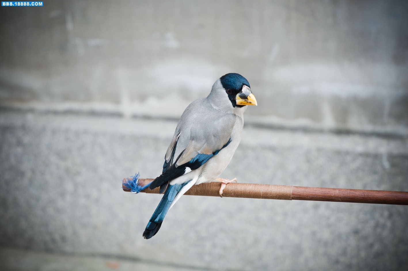 DSC_5595.jpg