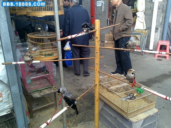 201110301858.jpg
