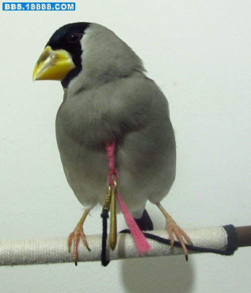 3.JPG