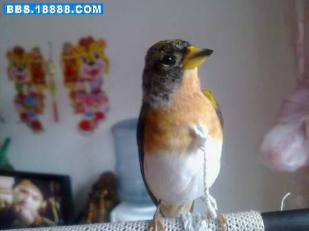 20111023192.jpg
