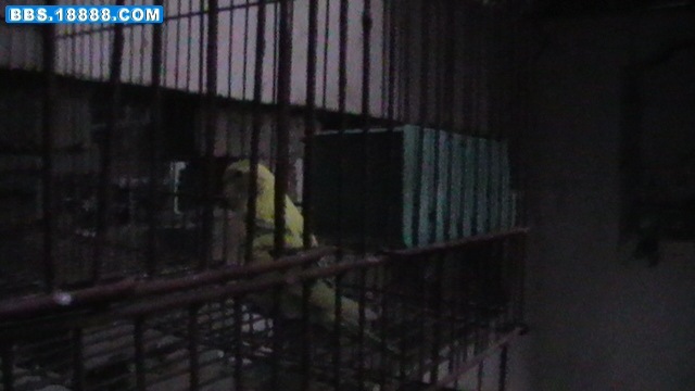 H1040015.JPG