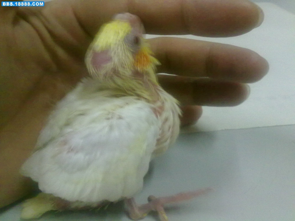 20111001067.jpg