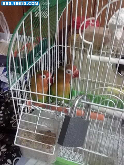 20111030142.jpg