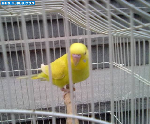 20111007188.jpg