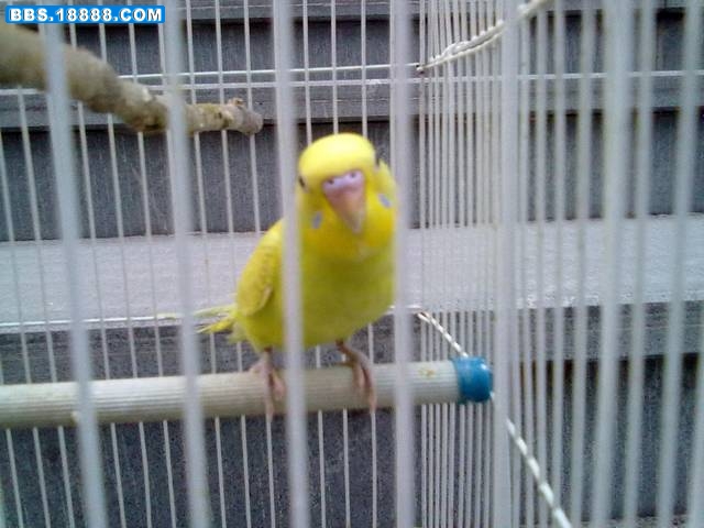 20111007187.jpg