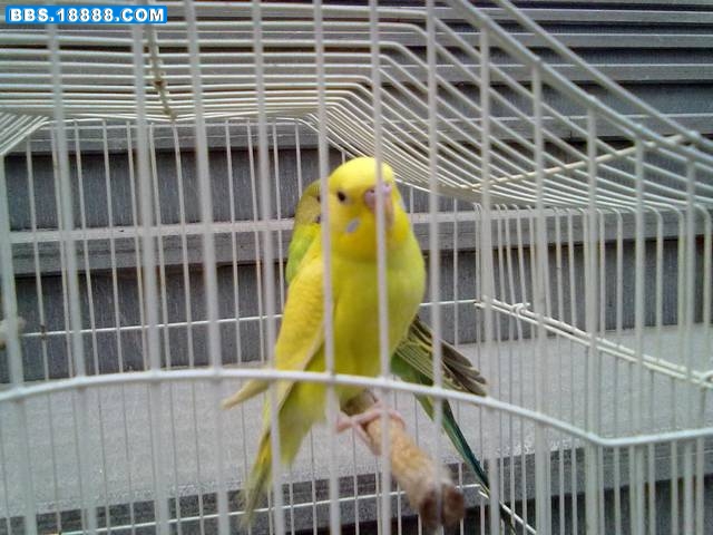20111007192.jpg